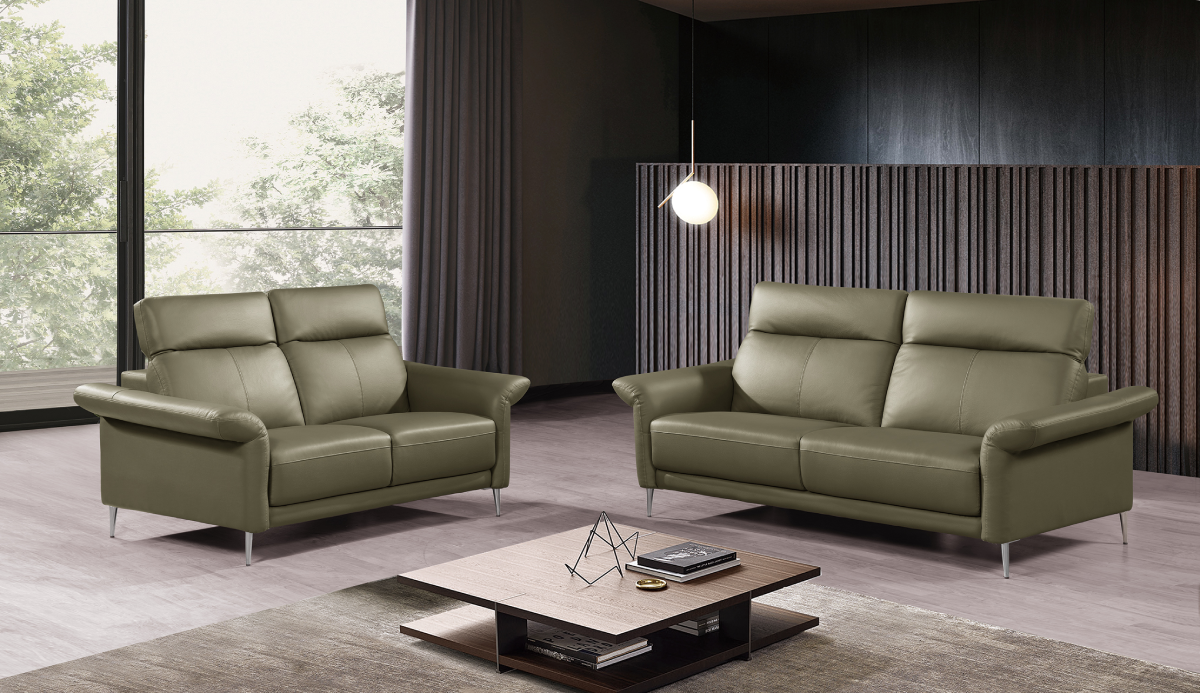 Leather Sofa ZM793