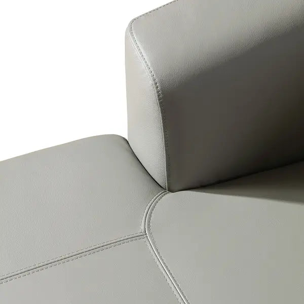 Leather Sofa ZM775