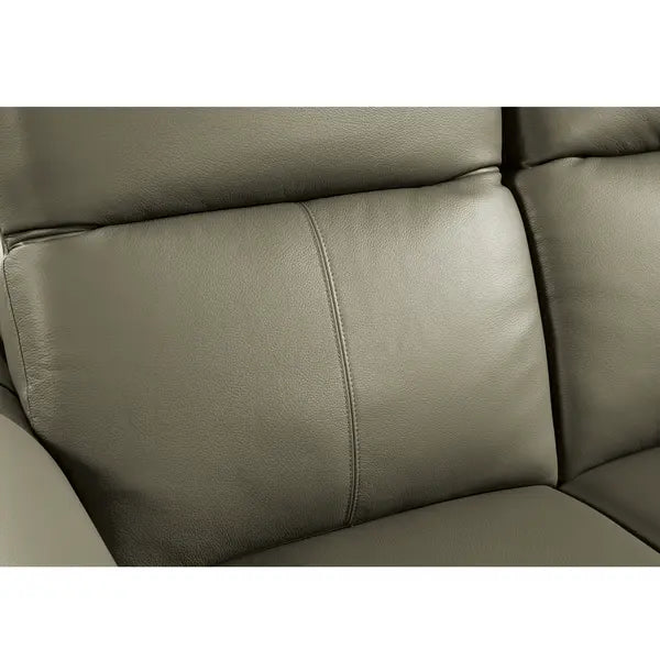 Leather Sofa ZM793